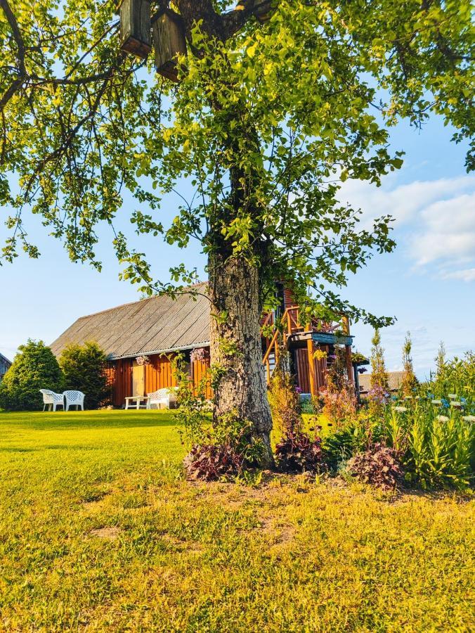 Villa Zalioji Paduyelis Exterior foto
