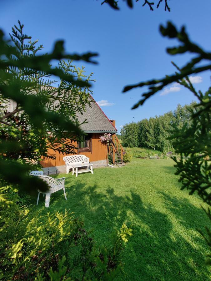 Villa Zalioji Paduyelis Exterior foto